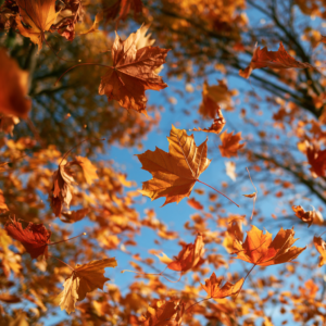Midjourny-Fall-Leaves-Falling2