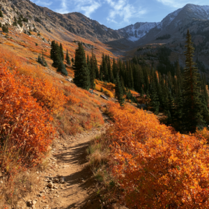 Midjourny-Fall-Mtn-Trail2